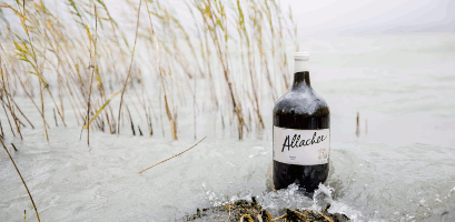 Allacher