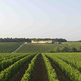 Antinori - La Braccesca