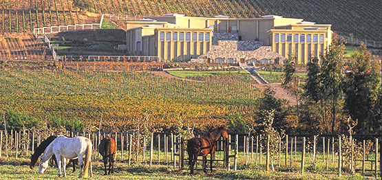 Haras de Pirque
