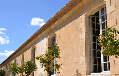 Chateau Margaux - Orangerie
