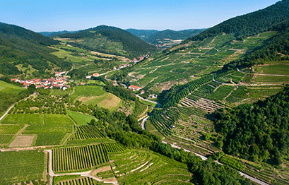 Domaine Wachau Spitzergraben