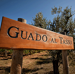 Antinori - Guado al Tasso