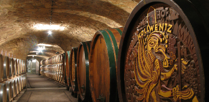 Weingut Kollwentz - Weinkeller