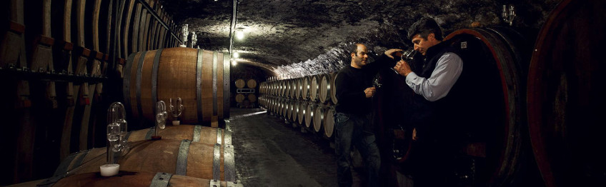 Weingut Künstler - Gunter Künstler und Rolf Schregel im Weinkeller