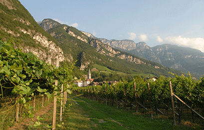 Weingut Lageder - Lage Porer