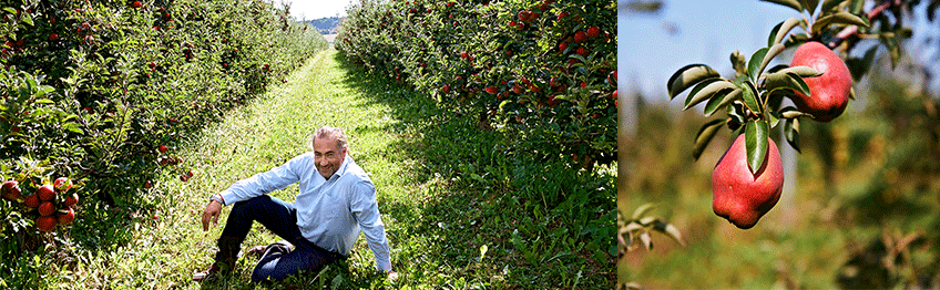 Reisetbauer - Hans Reisetbauer Fotocredit Manfred Klimek