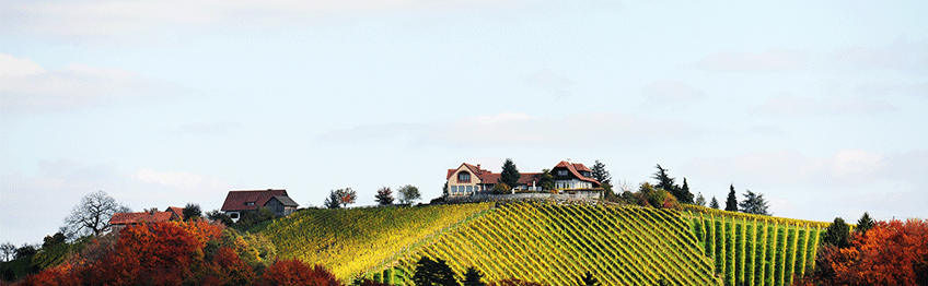 Weingut Tement Panorama