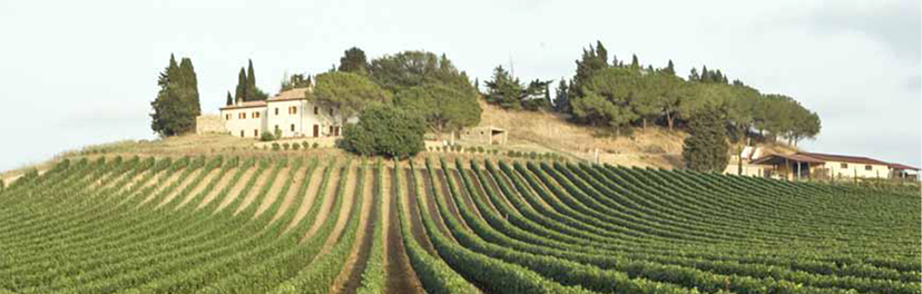 Weingut Col de Salici