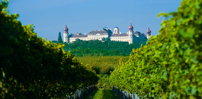 Weingut Dockner - Rosengarten
