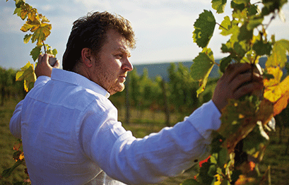 Weingut Gesellmann-Albert Gesellmann
