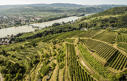 Weingut Stadt Krems - Ried Grillenparz