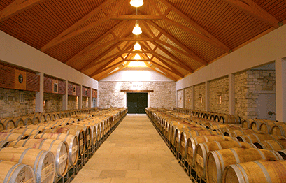 Weingut Umathum - Weinkathedrale