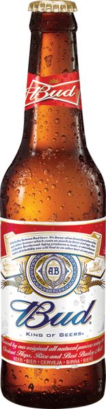 American Bud 24er-Karton 