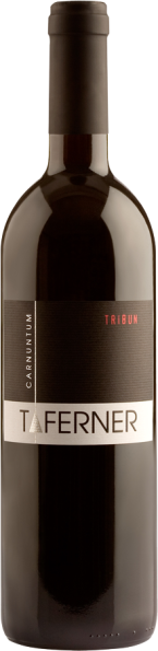 Cabernet Sauvignon Tribun 2022 