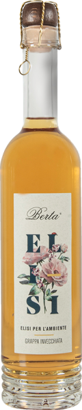 Elisi 