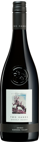 Gnarly Dudes Shiraz 2021 