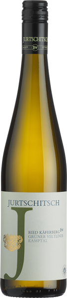 Grüner Veltliner Käferberg Erste Lage Kamptal DAC 2017 