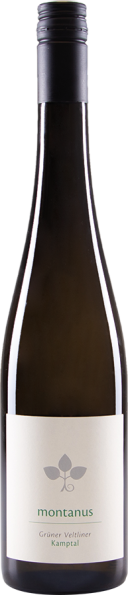 Grüner Veltliner Montanus Kamptal DAC 2024 