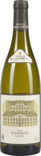 Grüner Veltliner Ried Steinsetz Kamptal DAC 2024 