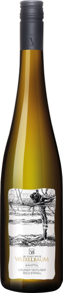 Grüner Veltliner Strass Kamptal DAC 2024 