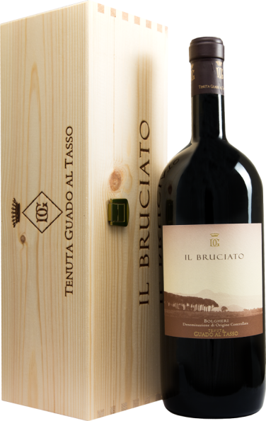 Il Bruciato Bolgheri DOC Magnum 2024 