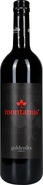 Montanus 2020 