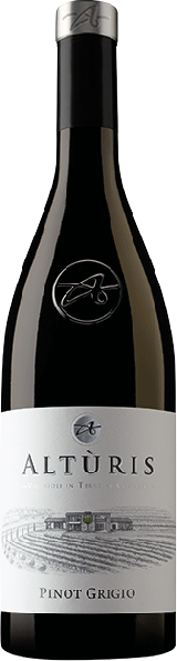 Pinot Grigio Friuli DOP 2025 