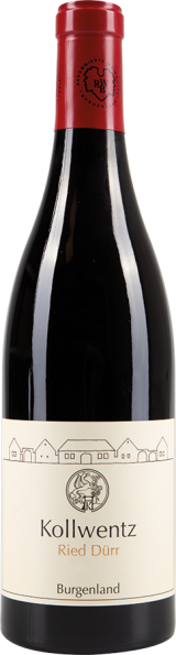 Pinot Noir Dürr 2023 