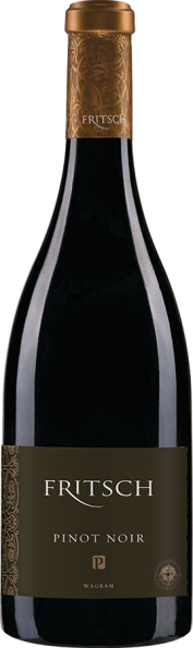 Pinot Noir P 2022 