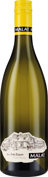 Ried Am Zaum Pinot Blanc "sur lie" 2024 