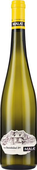 Ried STEINBÜHEL - 1ÖTW Erste Lage Riesling 2023 