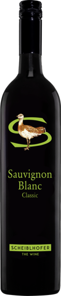 Sauvignon Blanc 2025 