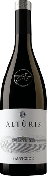 Sauvignon Venezia Giulia IGP 2025 