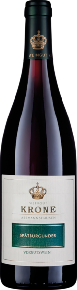 Spätburgunder Rheingau 2020 