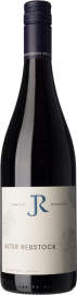 Alter Rebstock 2022 