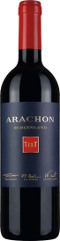 Arachon T·FX·T 2020 
