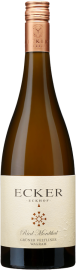 Grüner Veltliner Ried Mordthal 2024 