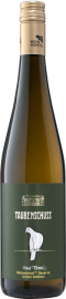 Grüner Veltliner Ried Tenn Weinviertel DAC Reserve 2021 