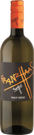 Pinot Grigio Vigneti delle Dolomiti IGT 2024 