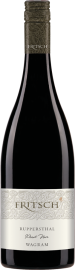 Pinot Noir Ruppersthal 2024 