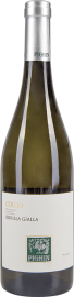 Ribolla Gialla Collio DOC 2024 