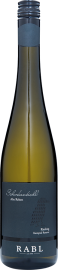 Riesling Schenkenbichl Alte Reben Kamptal DAC Reserve 2023 