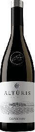 Sauvignon Venezia Giulia IGP 2025 