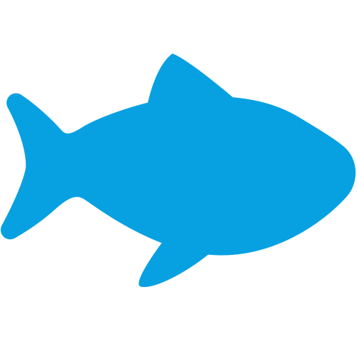Fisch (Salz-/Süßwasser)