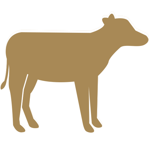 Kalb