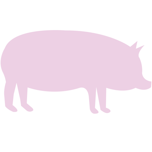 Schwein